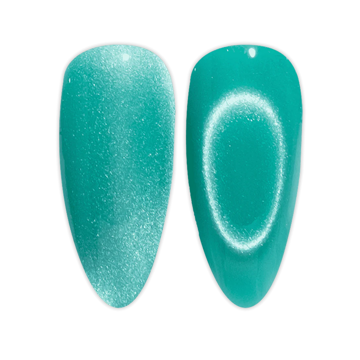 DND 9D Cateye Magnetic Gel Polish - Galaxy Effect - (11)